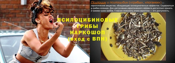 индика Алексеевка