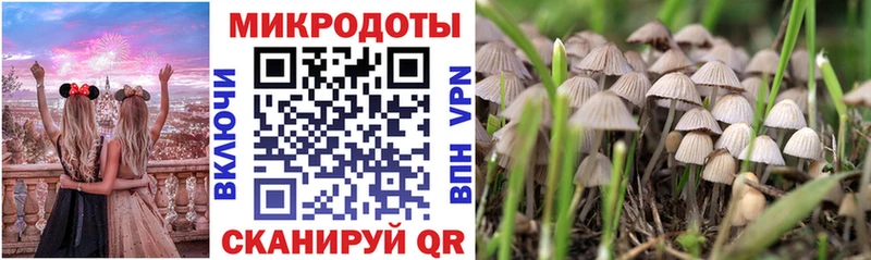 Псилоцибиновые грибы Psilocybe  Игарка 