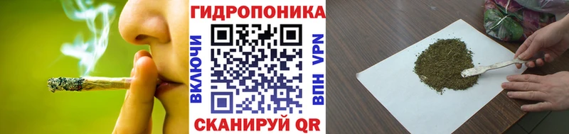 Конопля SATIVA & INDICA  кракен ONION  Игарка  как найти закладки 